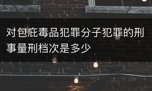 对包庇毒品犯罪分子犯罪的刑事量刑档次是多少