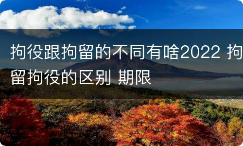 拘役跟拘留的不同有啥2022 拘留拘役的区别 期限