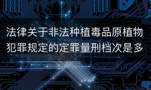 法律关于非法种植毒品原植物犯罪规定的定罪量刑档次是多少