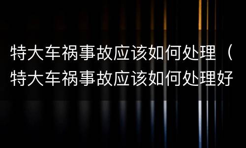 特大车祸事故应该如何处理（特大车祸事故应该如何处理好）