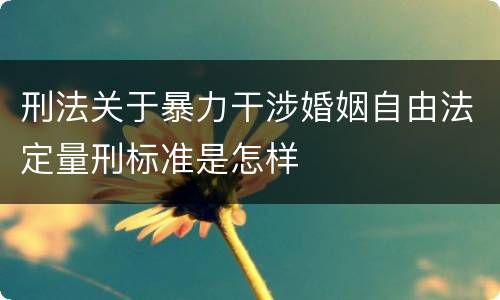 刑法关于暴力干涉婚姻自由法定量刑标准是怎样