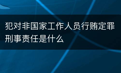 犯对非国家工作人员行贿定罪刑事责任是什么