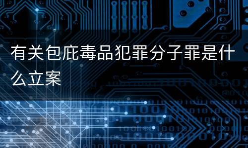 有关包庇毒品犯罪分子罪是什么立案