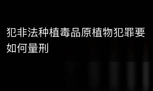 犯非法种植毒品原植物犯罪要如何量刑