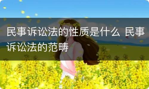 民事诉讼法的性质是什么 民事诉讼法的范畴