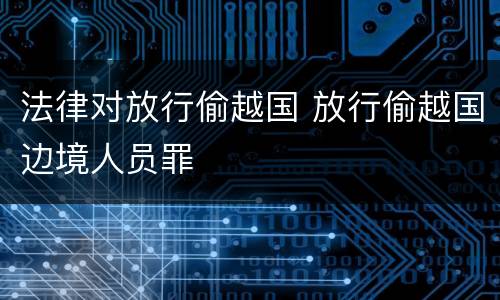 法律对放行偷越国 放行偷越国边境人员罪