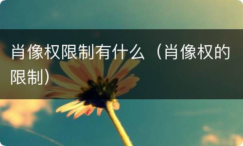 肖像权限制有什么（肖像权的限制）
