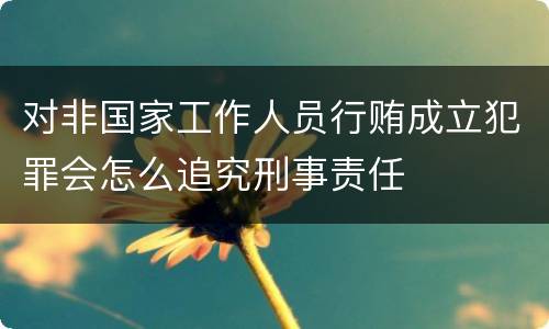 对非国家工作人员行贿成立犯罪会怎么追究刑事责任