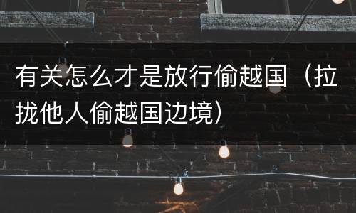 有关怎么才是放行偷越国（拉拢他人偷越国边境）