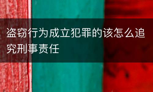 盗窃行为成立犯罪的该怎么追究刑事责任