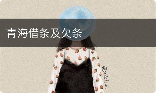青海借条及欠条