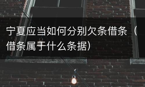 宁夏应当如何分别欠条借条（借条属于什么条据）