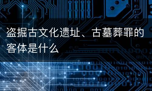 盗掘古文化遗址、古墓葬罪的客体是什么