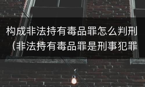 构成非法持有毒品罪怎么判刑（非法持有毒品罪是刑事犯罪吗）