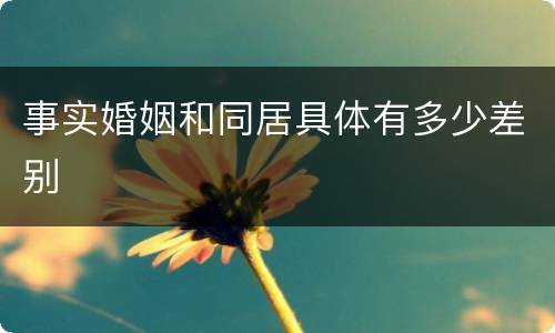 事实婚姻和同居具体有多少差别