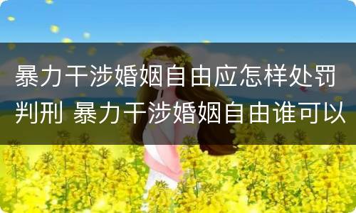 暴力干涉婚姻自由应怎样处罚判刑 暴力干涉婚姻自由谁可以起诉