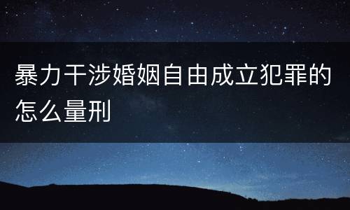 暴力干涉婚姻自由成立犯罪的怎么量刑
