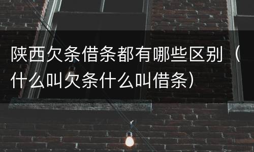 陕西欠条借条都有哪些区别（什么叫欠条什么叫借条）