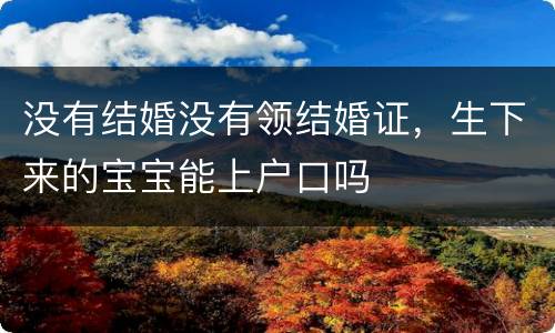 没有结婚没有领结婚证，生下来的宝宝能上户口吗