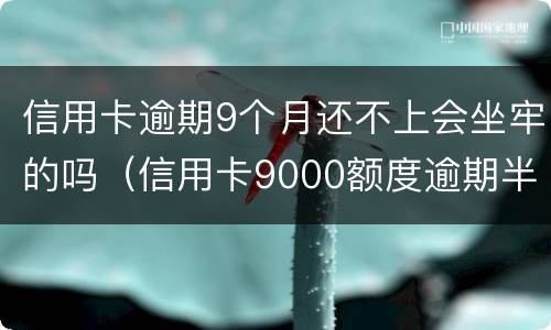 信用卡逾期9个月还不上会坐牢的吗（信用卡9000额度逾期半年）