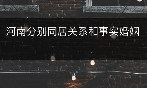 河南分别同居关系和事实婚姻