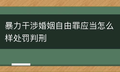 暴力干涉婚姻自由罪应当怎么样处罚判刑