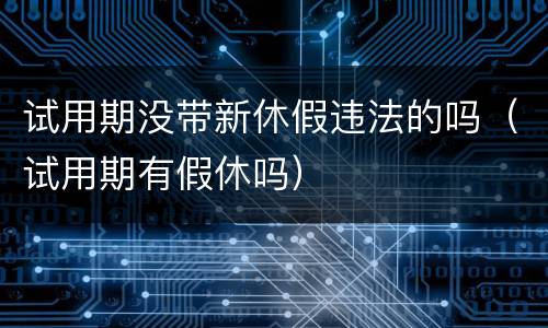 试用期没带新休假违法的吗（试用期有假休吗）
