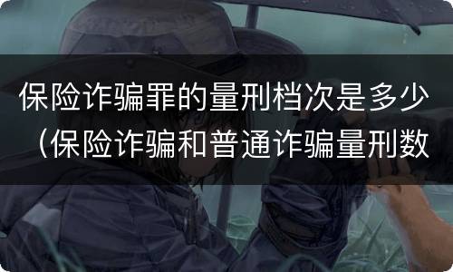 保险诈骗罪的量刑档次是多少（保险诈骗和普通诈骗量刑数额）
