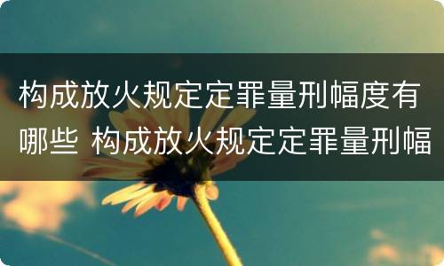 构成放火规定定罪量刑幅度有哪些 构成放火规定定罪量刑幅度有哪些情形