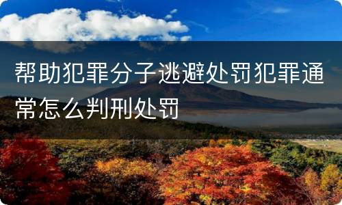 帮助犯罪分子逃避处罚犯罪通常怎么判刑处罚