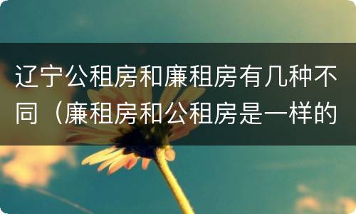 辽宁公租房和廉租房有几种不同（廉租房和公租房是一样的吗）