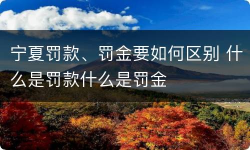宁夏罚款、罚金要如何区别 什么是罚款什么是罚金