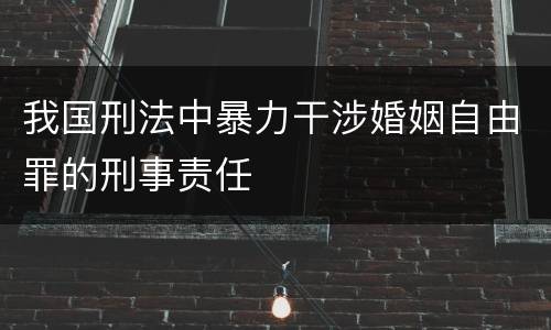 我国刑法中暴力干涉婚姻自由罪的刑事责任