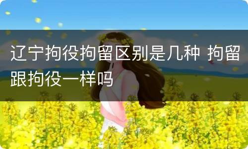 辽宁拘役拘留区别是几种 拘留跟拘役一样吗