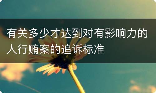 有关多少才达到对有影响力的人行贿案的追诉标准