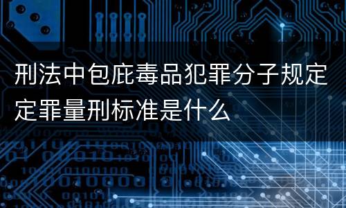 刑法中包庇毒品犯罪分子规定定罪量刑标准是什么