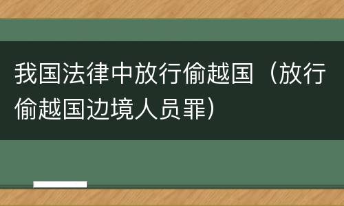 我国法律中放行偷越国（放行偷越国边境人员罪）
