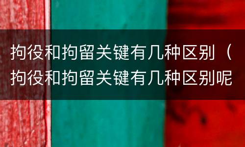拘役和拘留关键有几种区别（拘役和拘留关键有几种区别呢）