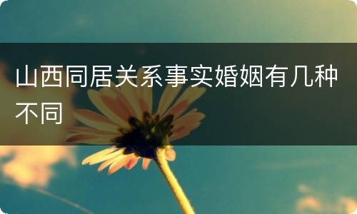 山西同居关系事实婚姻有几种不同