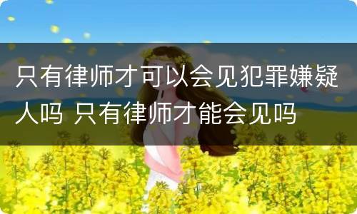 只有律师才可以会见犯罪嫌疑人吗 只有律师才能会见吗