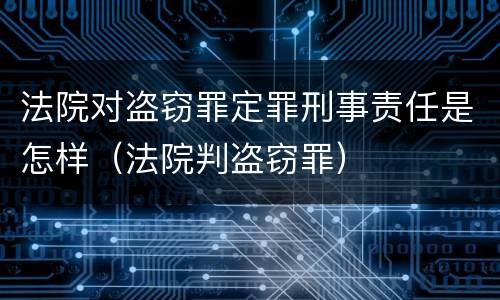法院对盗窃罪定罪刑事责任是怎样（法院判盗窃罪）