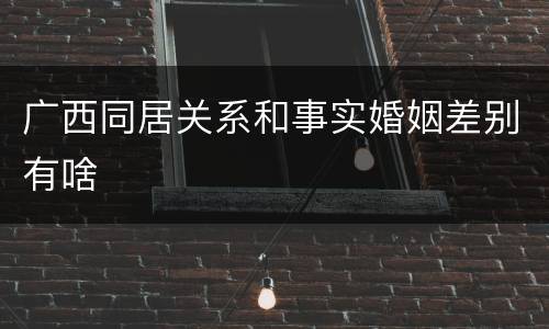 广西同居关系和事实婚姻差别有啥
