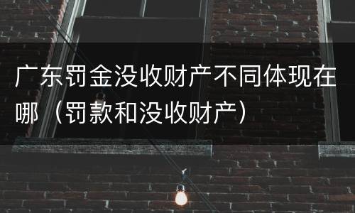 广东罚金没收财产不同体现在哪（罚款和没收财产）