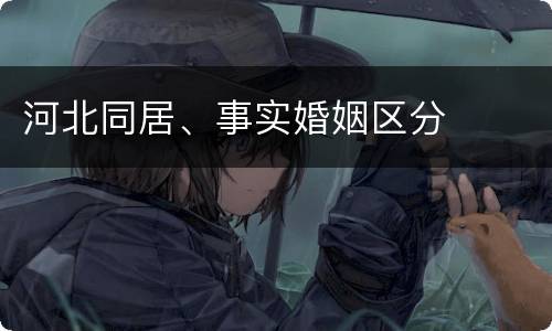 河北同居、事实婚姻区分