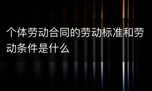 个体劳动合同的劳动标准和劳动条件是什么