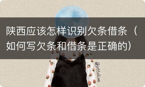 陕西应该怎样识别欠条借条（如何写欠条和借条是正确的）