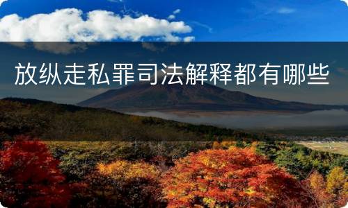 放纵走私罪司法解释都有哪些