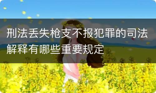 刑法丢失枪支不报犯罪的司法解释有哪些重要规定
