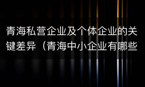 青海私营企业及个体企业的关键差异（青海中小企业有哪些）