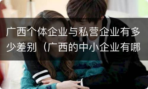 广西个体企业与私营企业有多少差别（广西的中小企业有哪些）